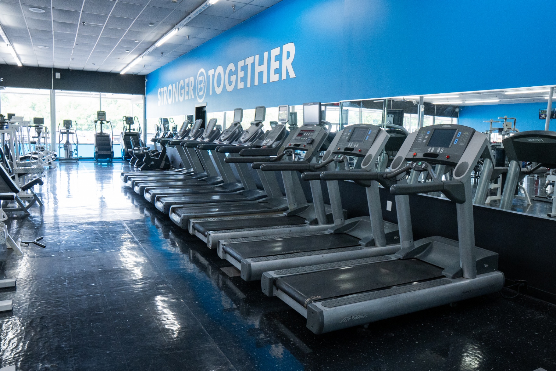 Row of treadmills and cardio machines inside FIT Beyond Plus.
