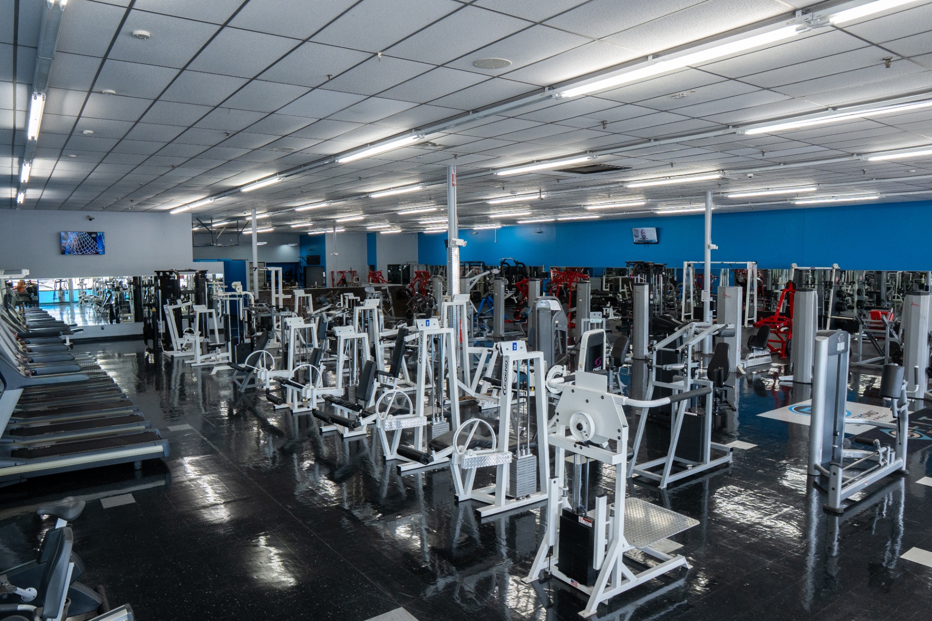 Wide view of the FIT Beyond Plus gym floor with cardio and strength equipment.