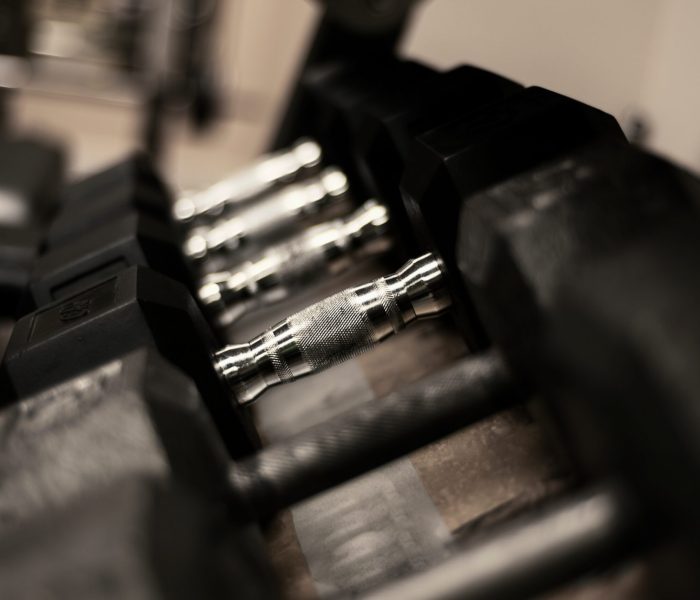 gym-weights-on-rack-2022-11-14-06-50-35-utc
